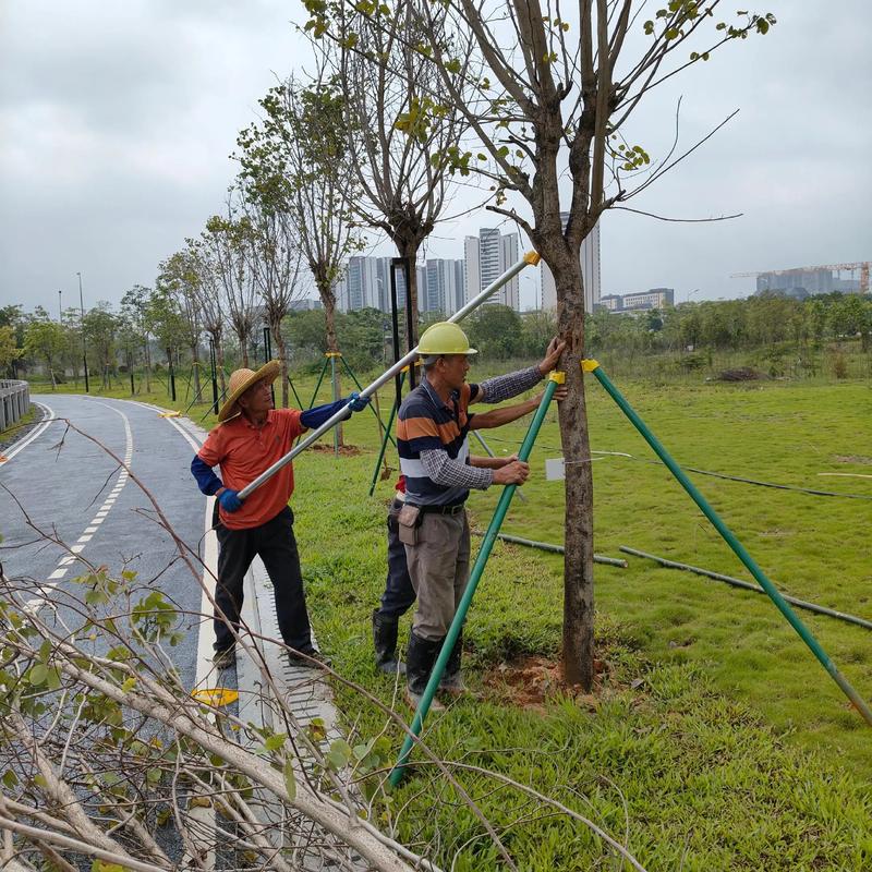 物业管理行业最新动态:住宅小区服务升级
